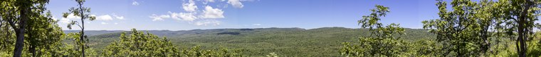 view of mountains and forest