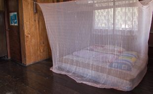 simple room with mattress and mosquito net