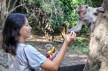 woman feeding a monkey