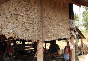 house with walls made of leaves