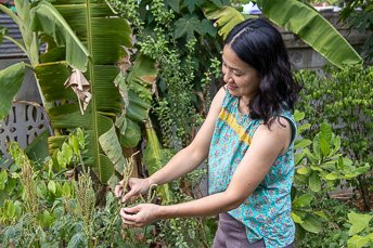 woman picking spinach in a garden