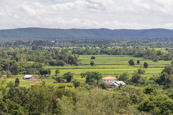 view of mountains and rice paddies