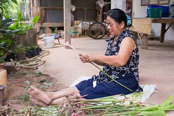 woman cutting galangal