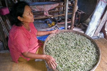 woman with silk worms